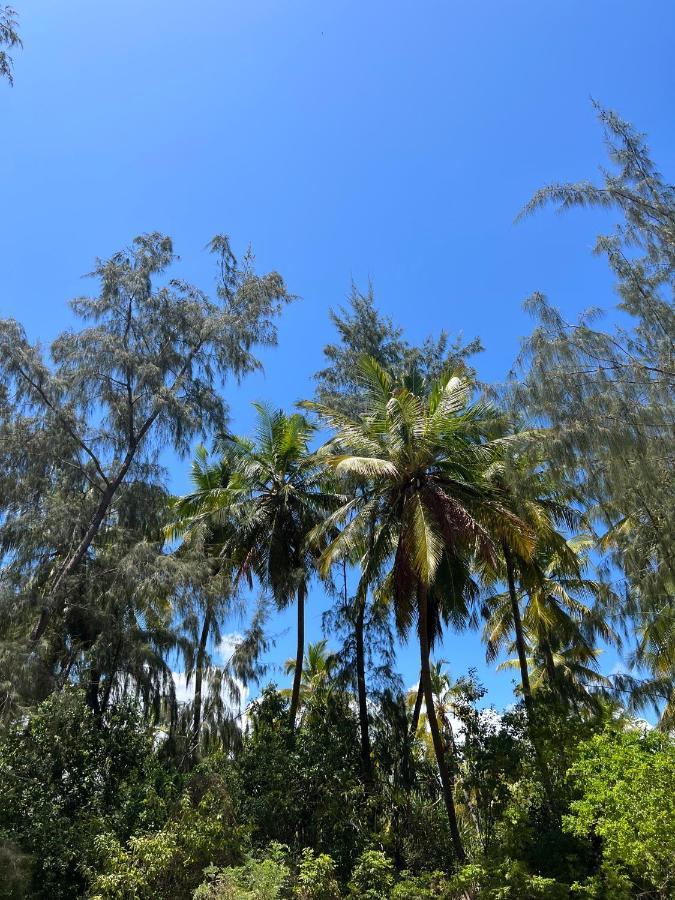 Kivuli Beach Resort Paje Ngoại thất bức ảnh