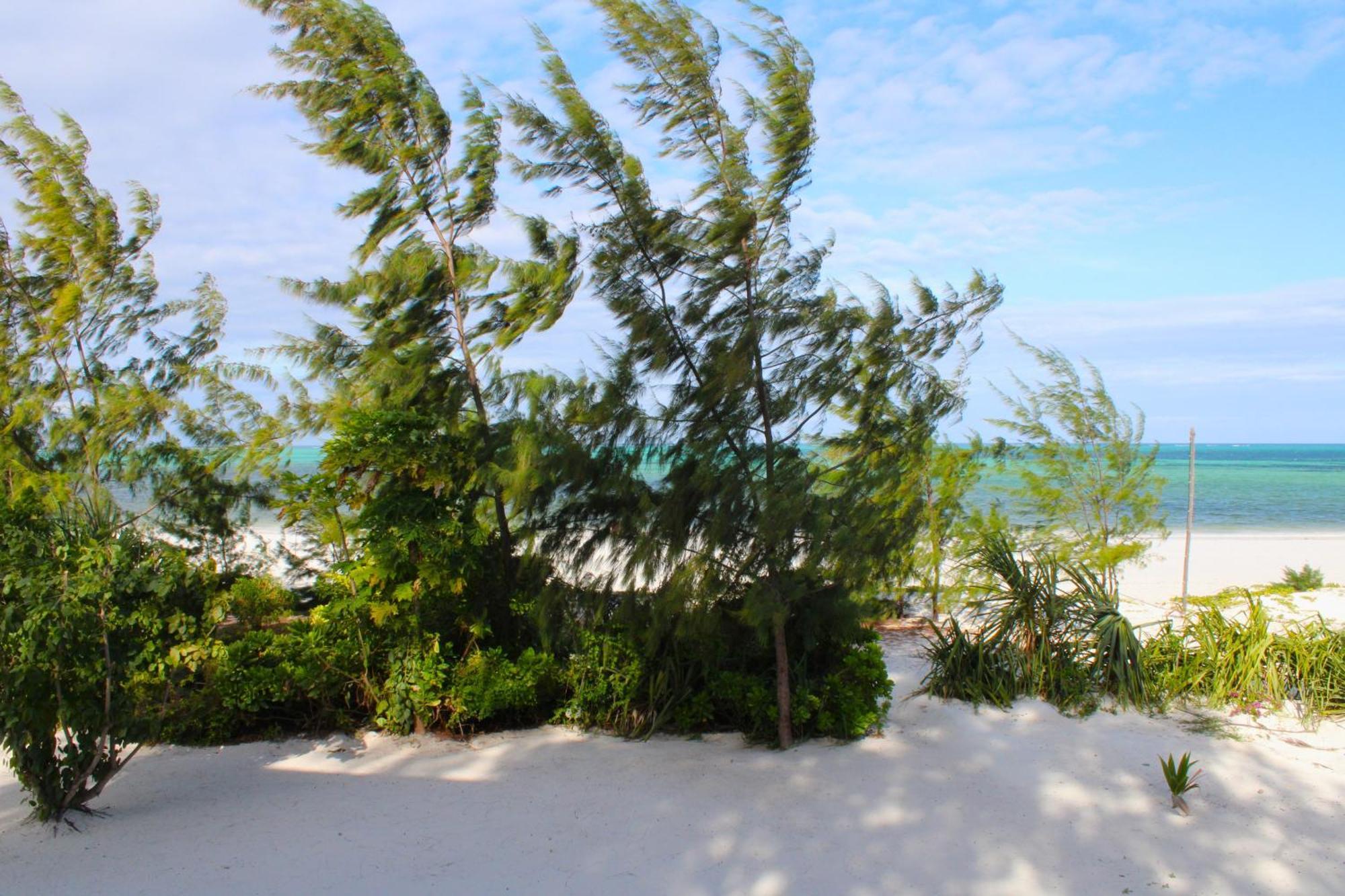 Kivuli Beach Resort Paje Ngoại thất bức ảnh