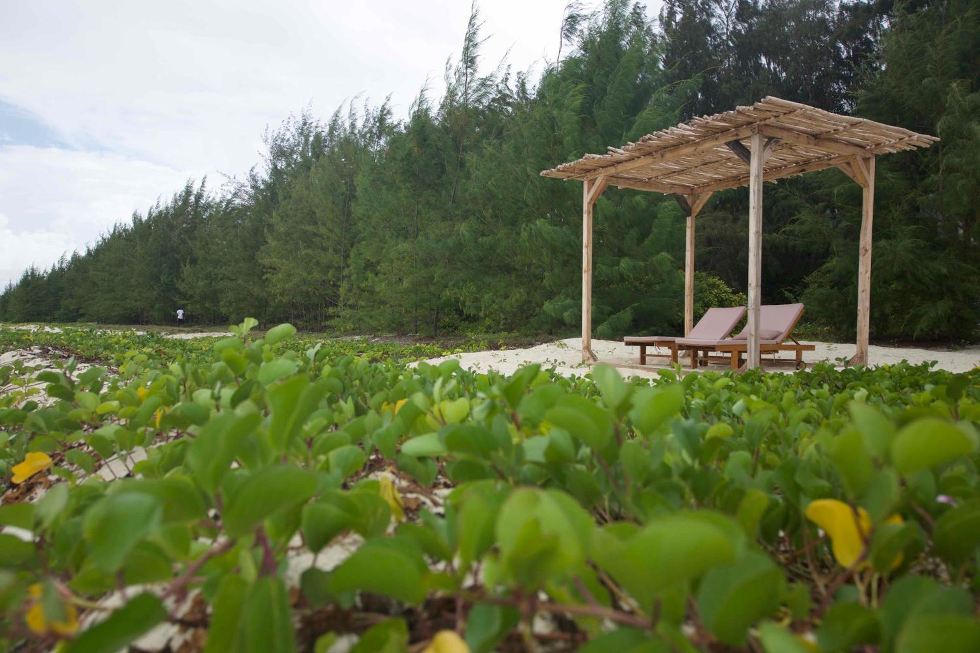 Kivuli Beach Resort Paje Ngoại thất bức ảnh